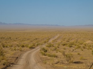 Maranjab desert (13)       